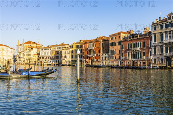 Historical house facades on the Canale Grande in the morning light