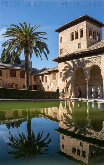 Historic building El Partal with pool and palm trees