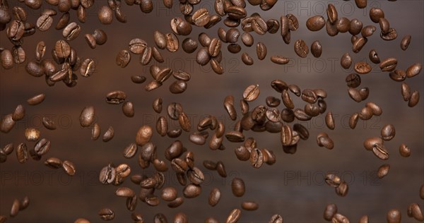 Arabiga coffee beans