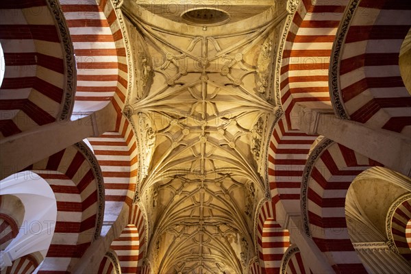 Stucco ceiling of the portico with round arches