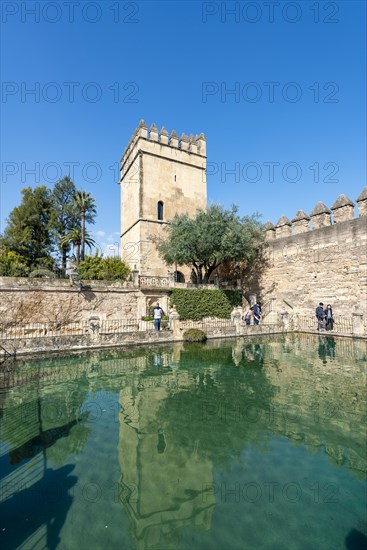 Tower reflected in a fountain