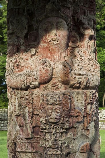 Stela C