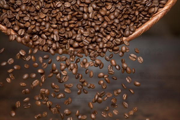 Arabiga coffee beans