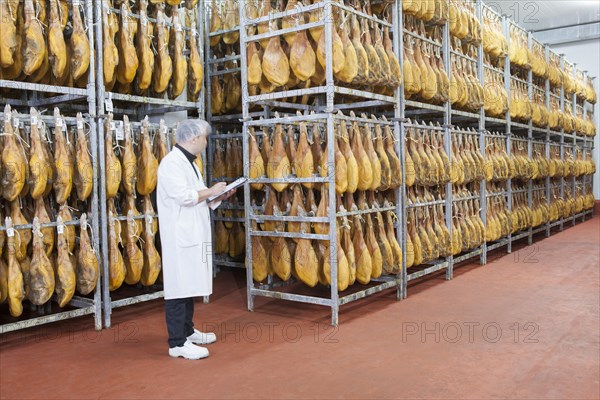 Employee checks raw ham in the drying room
