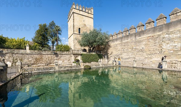 Tower reflected in a fountain