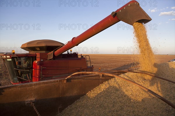 A Combine Unloads Soya Beans into Truck near Luis Eduardo Magalhaes