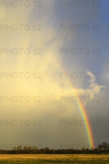 Rainbow on a cloudy sky