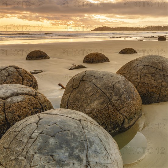 Moeraki Boulders at sunrise