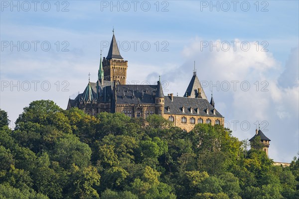 Schloss Wernigerode Castle