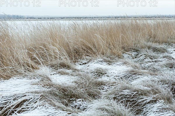 Snow in winter moor