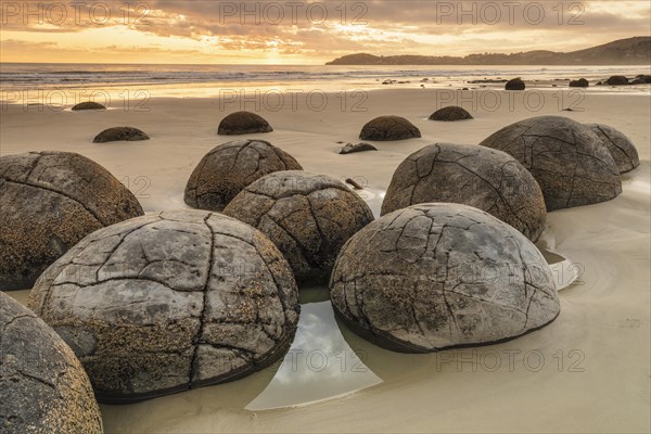 Moeraki Boulders at sunrise