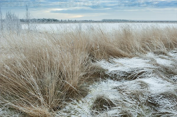 Snow in winter moor