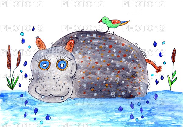 Hippo