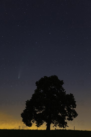 Comet C/2020 F3