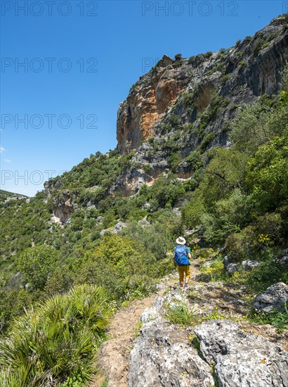 Hiker on a hiking trail