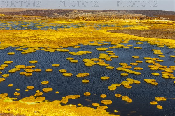 Geothermal area with sulphur deposits and acidic brines