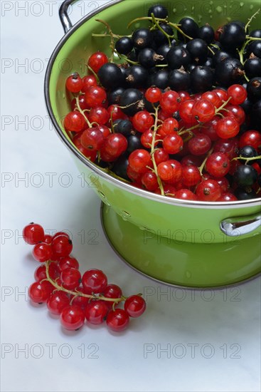 Red currants and black currants in shell