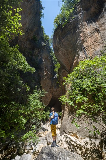 Hikers in the canyon with green trees