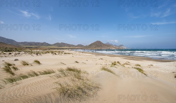 Sand dunes on the beach