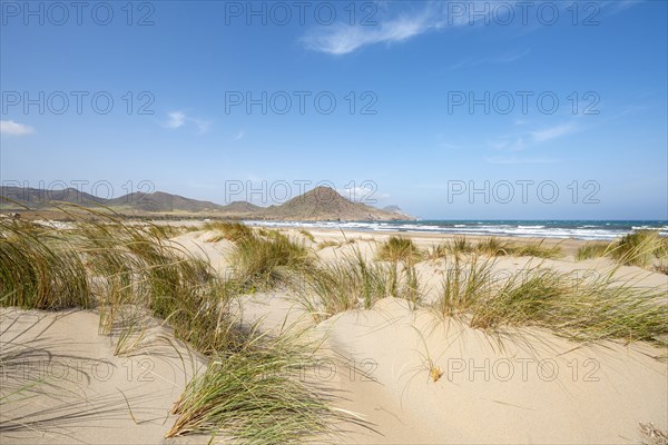 Sand dunes on the beach