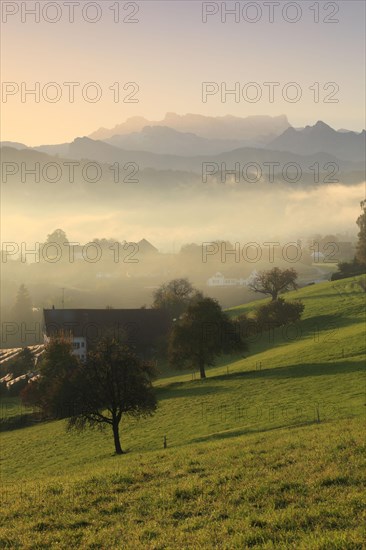 Waedenswil