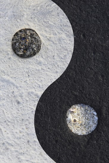 Ying Yang