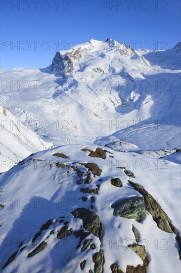 Monte Rosa