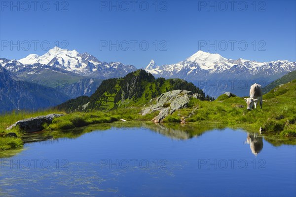 Swiss Alps