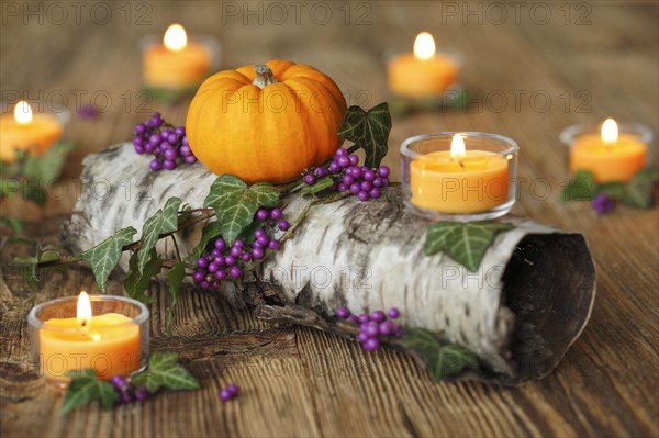 Autumnal decoration