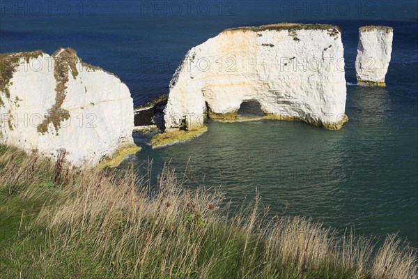 Old Harry Rocks