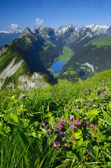 Saemtisersee
