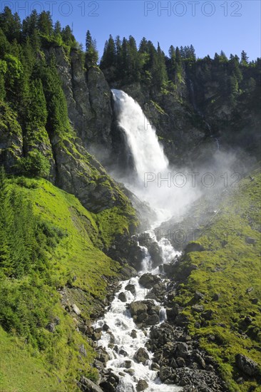 Staeubifall