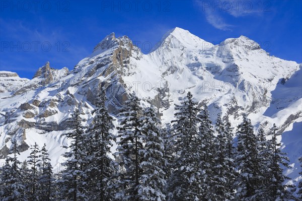 Blueemlisalp Rothorn