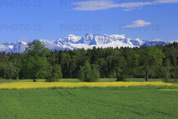 View from Gossau Zurich to Glaernisch