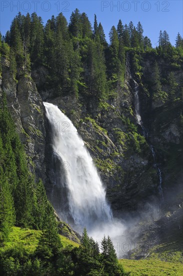 Staeubifall