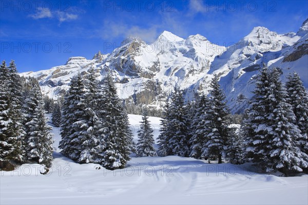 Bluemlisalp Rothorn