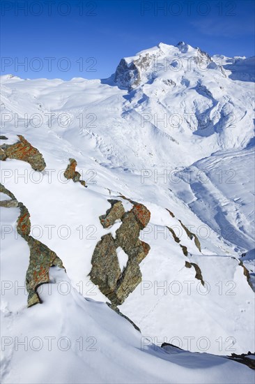 Monte Rosa