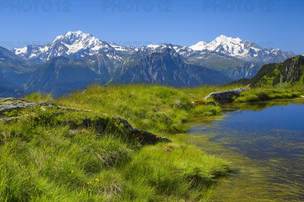 Swiss Alps