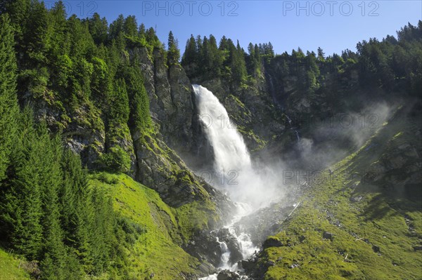 Staeubifall