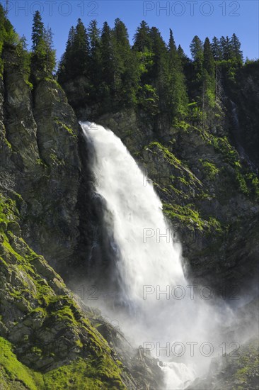 Staeubifall