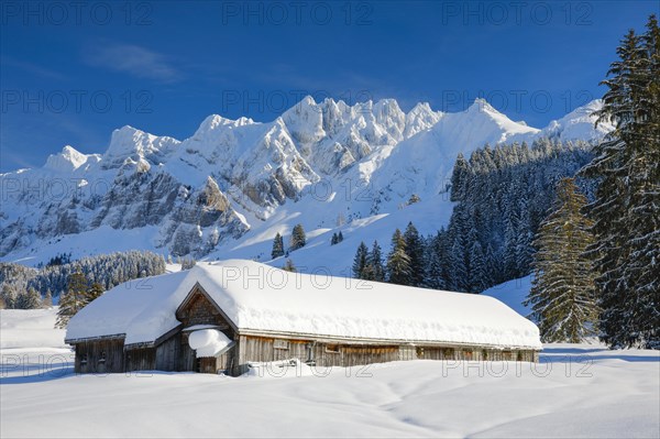 Alpstein massif with Saentis