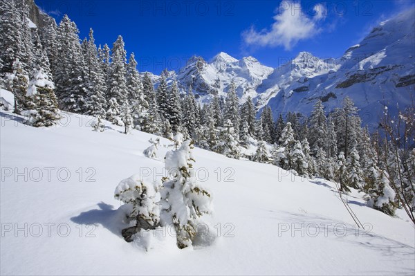 Blueemlisalp Rothorn