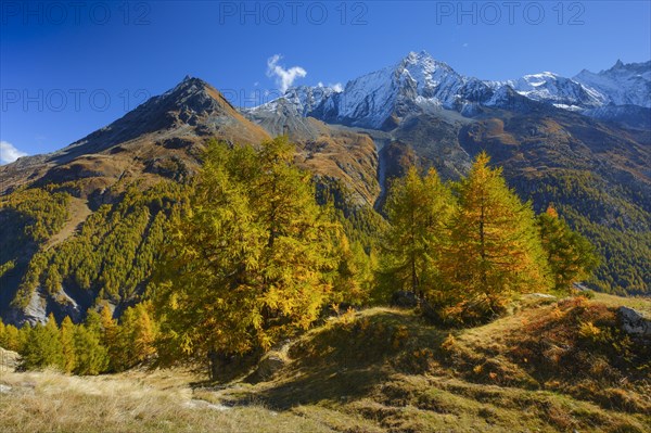 Grande Dent de Veisivi