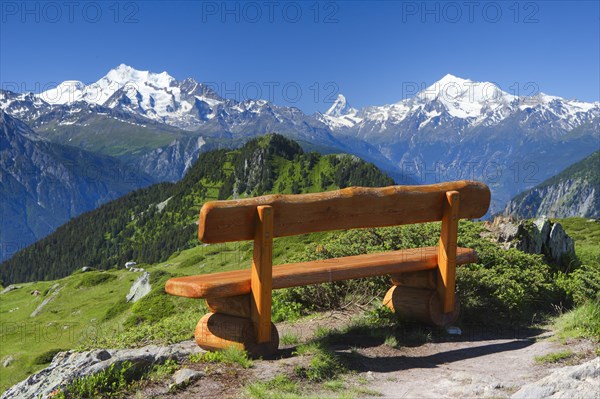 Bench