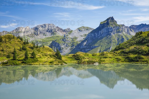 Hahnen