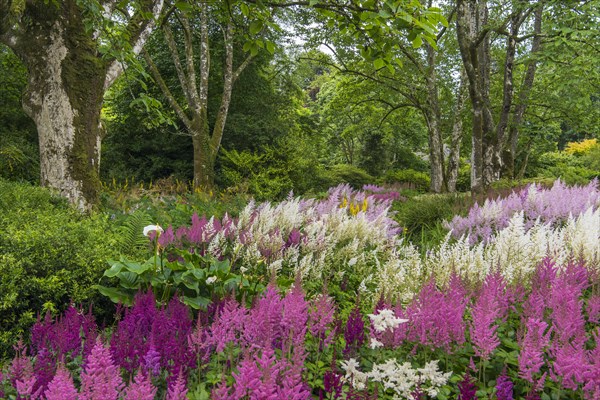 Gardens of Victorian Mansion Lanhydrock House