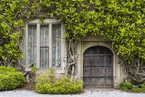 Old plant-ingrown facade with wooden door and window