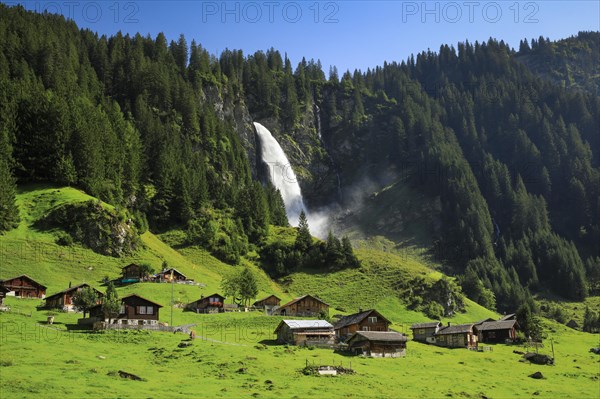 Staeubifall