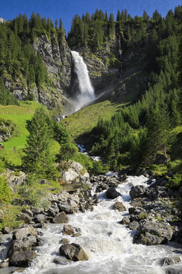Staeubifall