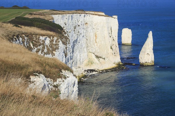 Old Harry Rocks